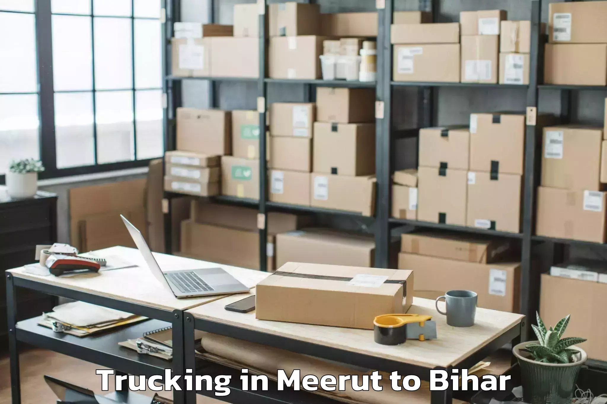 Easy Meerut to Turkaulia Trucking Booking